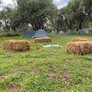 Cika's Camping Borsh